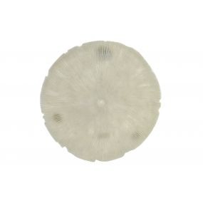 Expositor coral