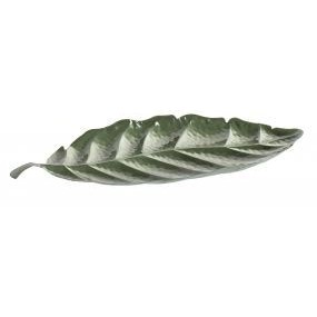 alquiler bandeja hoja metal ficus verde
