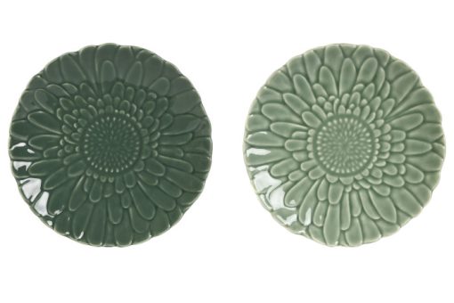 plato pan verde